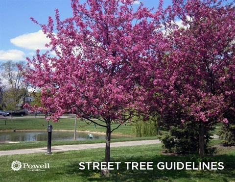 Street Trees